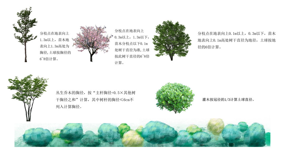 園林交底學(xué)習(xí) (28).jpg